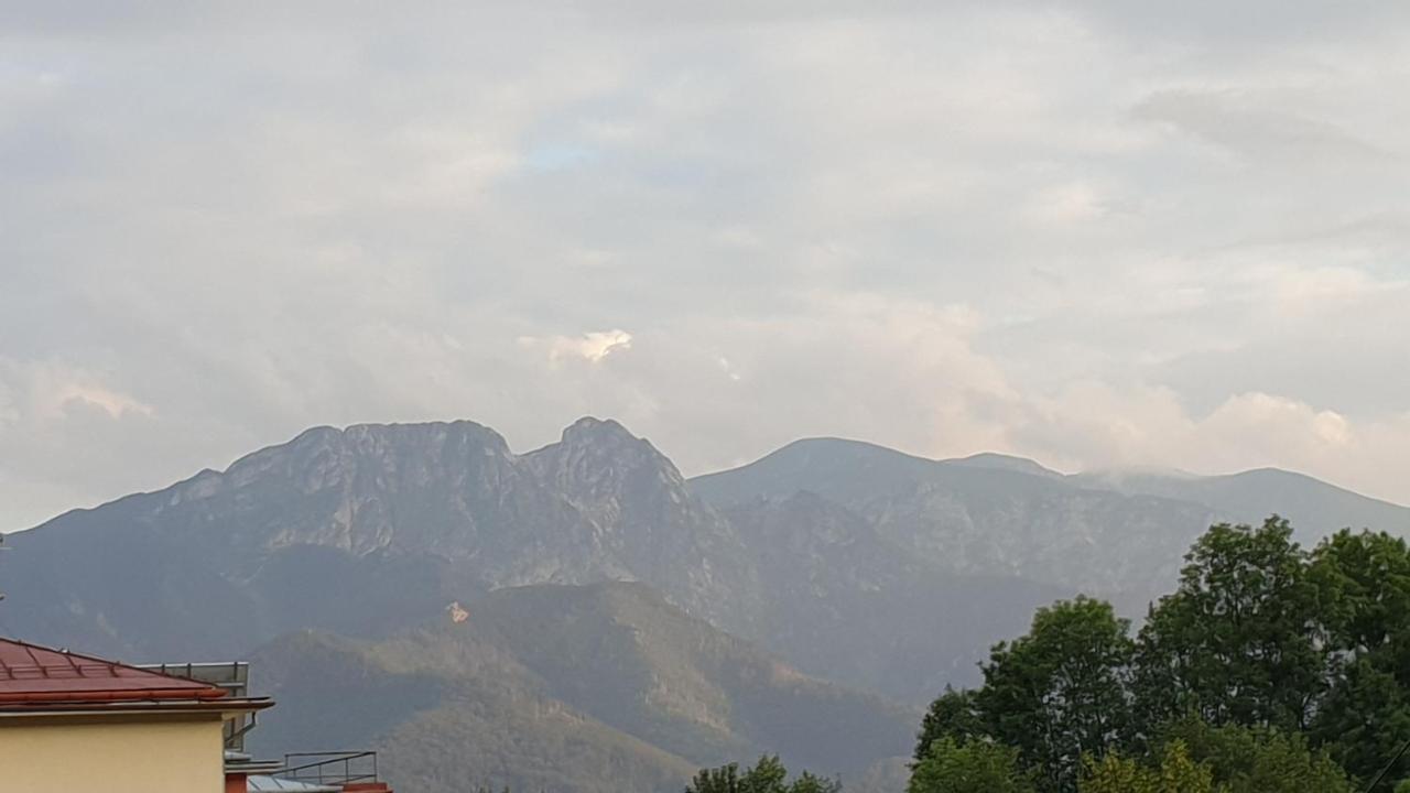 זקופאנה Villa Fortuna - Regionalne Apartamenty & Spa - Sauna, Grill, Jacuzzi Z Widokiem Na Tatry מראה חיצוני תמונה